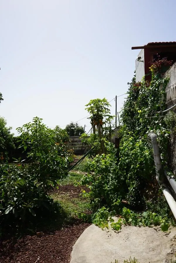 Casa Rural En Tenerife Villa Guimar Chalet