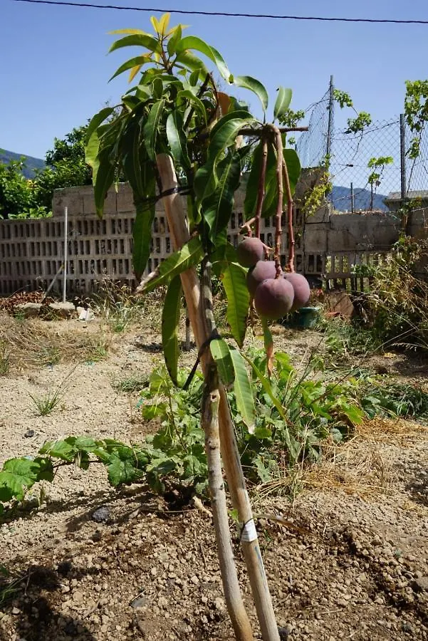 Casa rural en Tenerife Villa Güímar